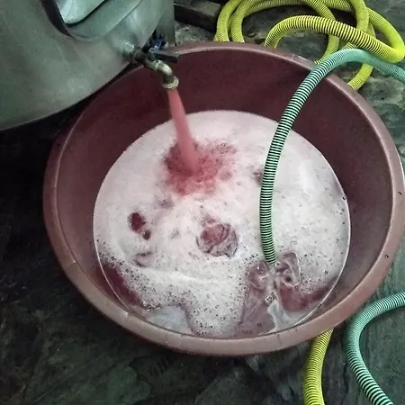 Gasthuis Casa Do Poco - Douro