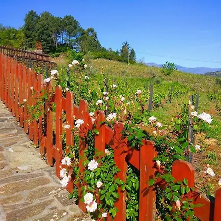 Πανσιόν Casa Do Poco - Douro 4*