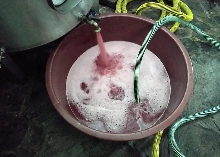 게스트하우스 Casa Do Poco - Douro