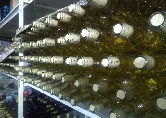 Casa Do Poco - Douro 게스트하우스