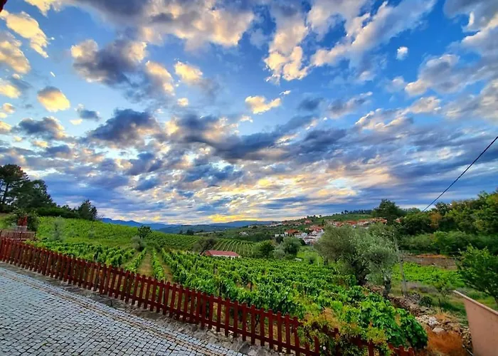 Casa Do Poco - Douro 페소다레과